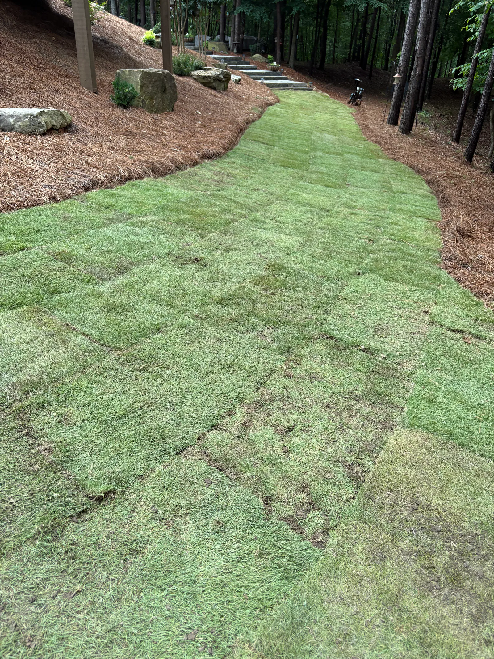 Fresh pine straw and sod installed by E&D Landscaping